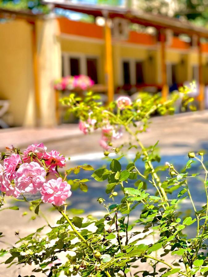 Pop Аrt Bungalows Primorsko Exterior foto